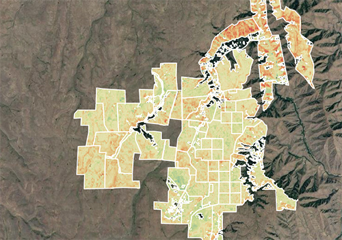 TNC Landsat image