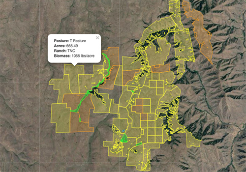 Pasture boundaries and average biomass