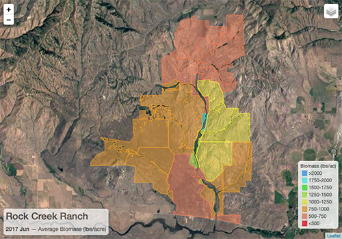 Pasture boundaries and average biomass