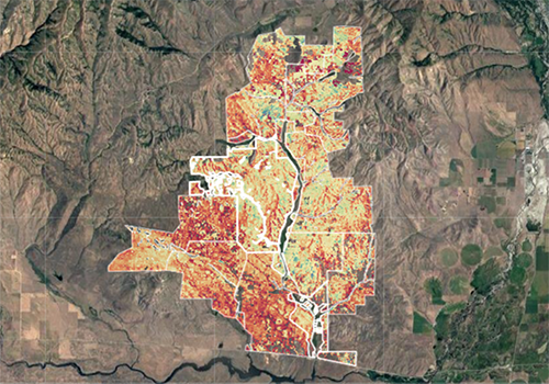 Landsat relative difference map